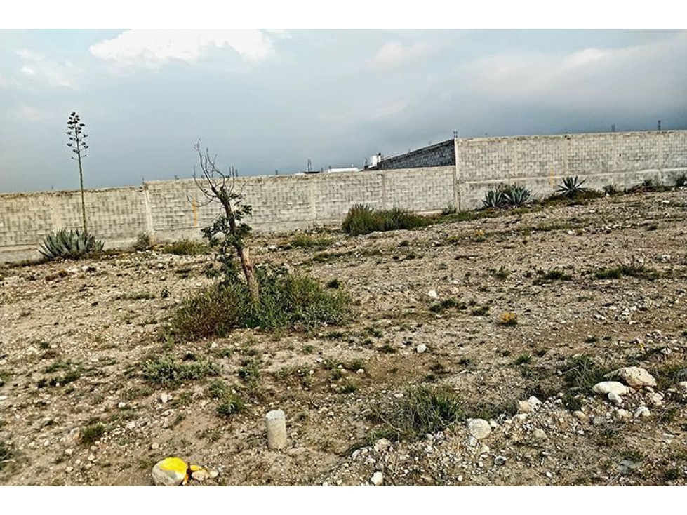 Terreno en VENTA en Arteaga-RTV551530 - 6