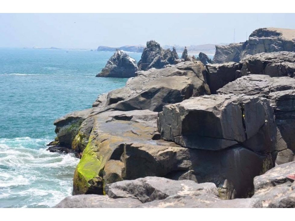 VENTA DE TERRENOS EN PLAYA LOBOS KM 127 -LIMA - 5