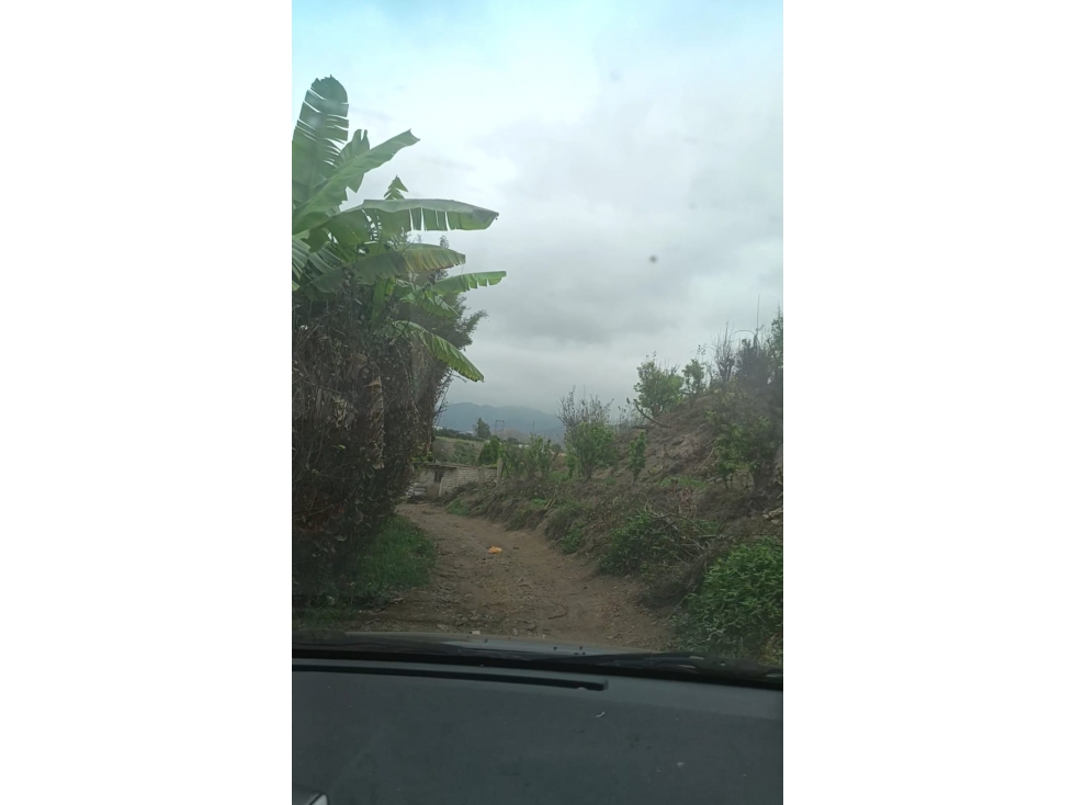 TERRENO CAMPESTRE EN AZPITIA- SANTA CRUZ DE FLORES- CAÑETE- 9,602 m2 — foto 6