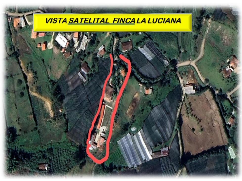 FINCA EN VENTA EN EL CARMEN DE VIBORAL - Vereda La Palma