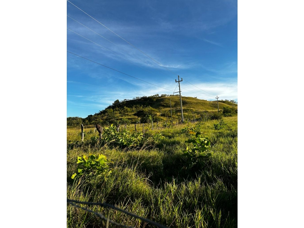 GRAN FINCA Titulada 19 Ha en Las Palmas A 7 km Interamericana - 3