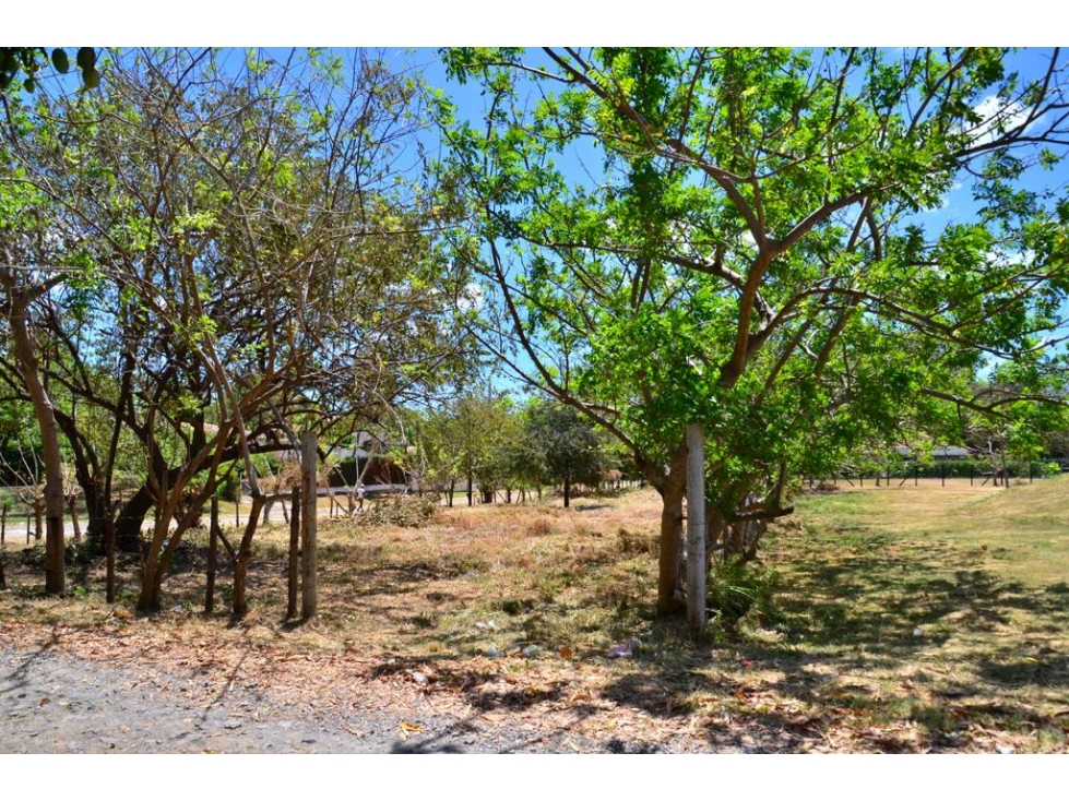 Terreno de esquina en Venta en Playa Coronado — foto 4