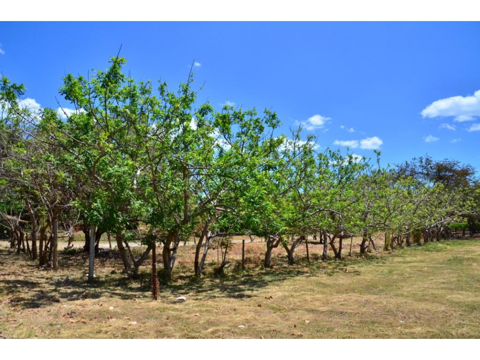 Terreno de esquina en Venta en Playa Coronado — foto 5