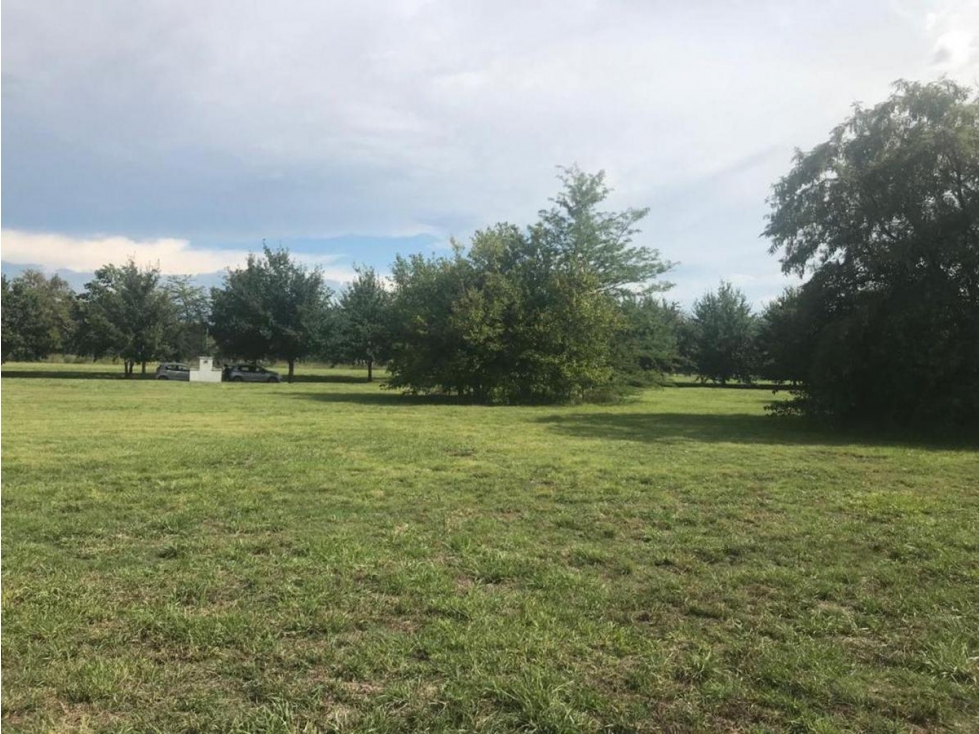 Terreno Av. Fernandez Beschtedt - Everlinks Golf & Country Club - 6
