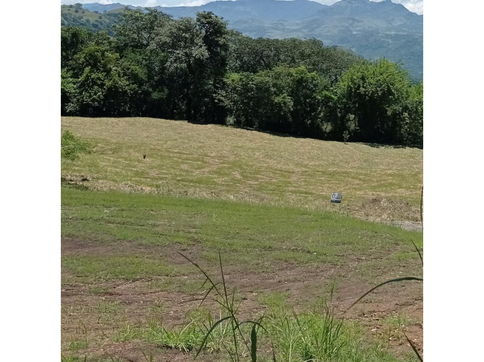 Venta de lote Bolonbolo Venecia - 1