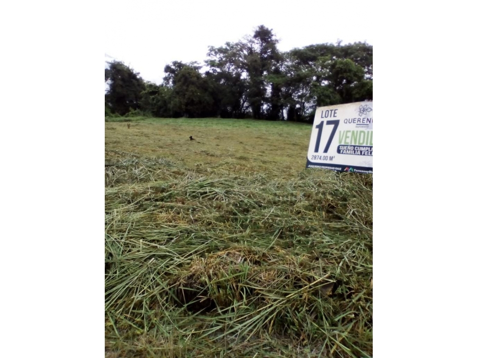Venta de lote Bolonbolo Venecia - 2