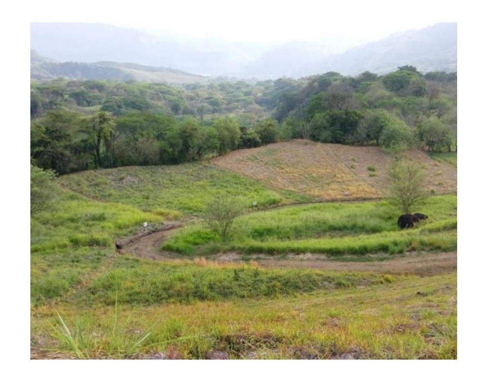 Venta de lote Bolonbolo Venecia - 3