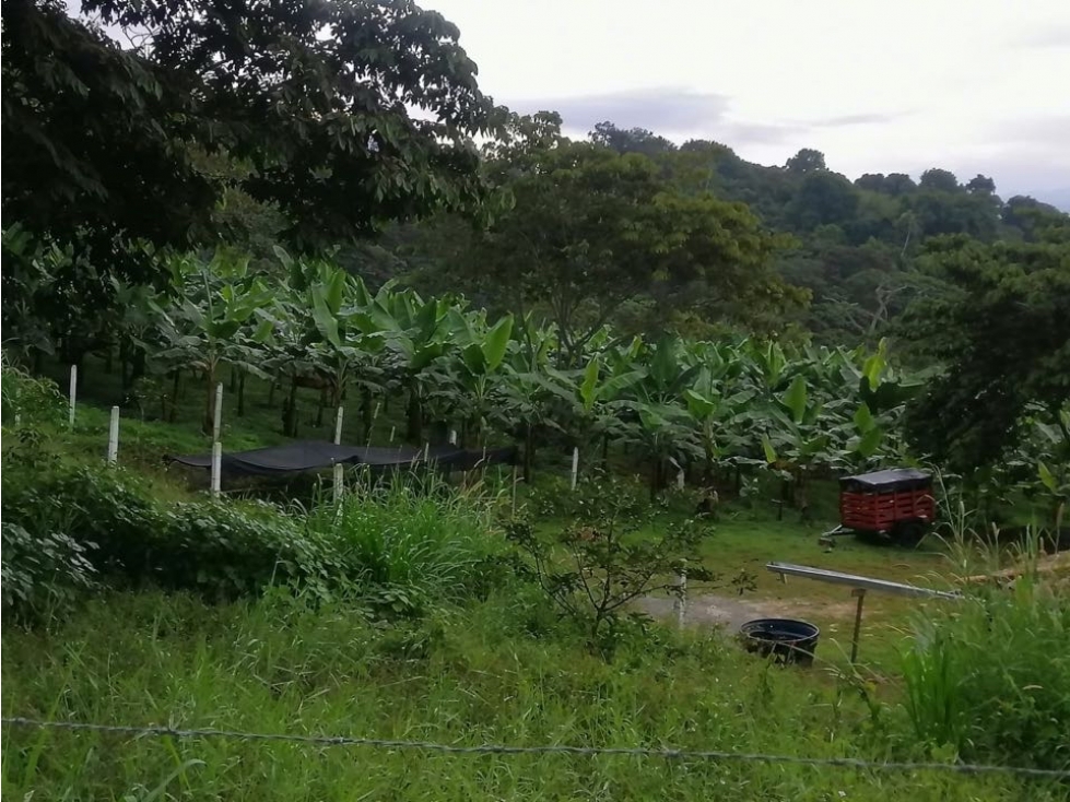 SE VENDE LOTE EN KM 34 EL PALMAR-DAGUA - 1