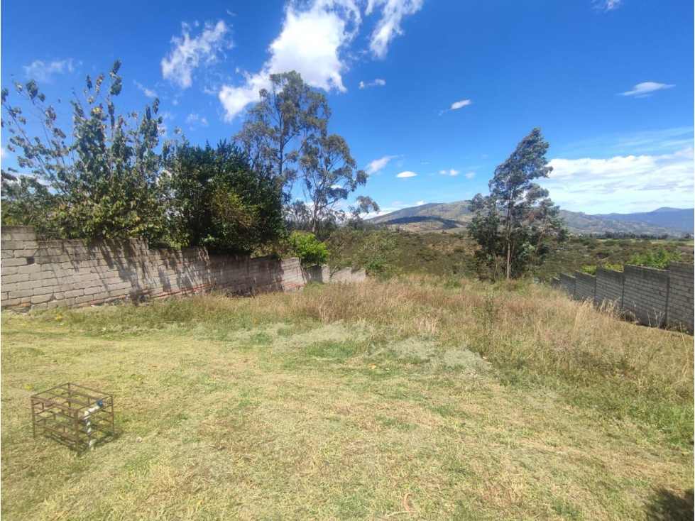 Pifo, Terreno en venta, 503 m2, 2 pisos, frente total 17 m, cos 20 — foto 2