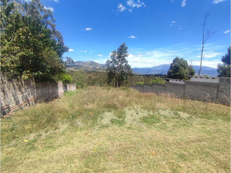 Pifo, Terreno en venta, 503 m2, 2 pisos, frente total 17 m, cos 20 — foto 3