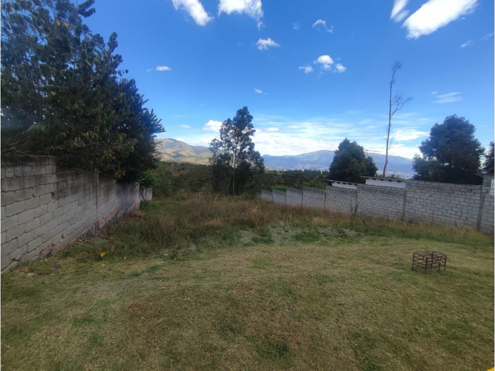 Pifo, Terreno en venta, 503 m2, 2 pisos, frente total 17 m, cos 20 — foto 5