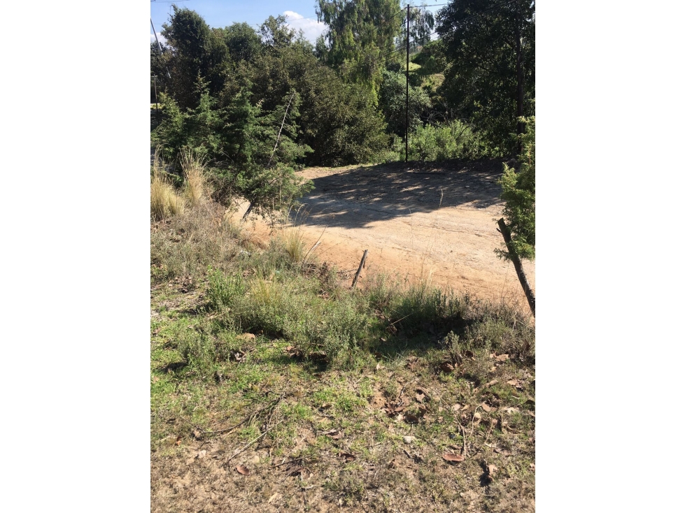 Venta de terreno Rancho Blanco en Jilotzingo - 1