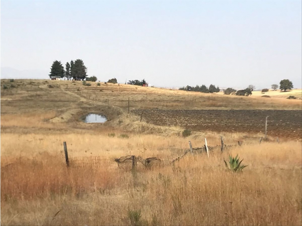 VENTA TERRENO SN MIGUEL CAÑADAS CONOCIDA COMO LOMA DE LOS CABALLOS TEPOTZOTLAN - 1