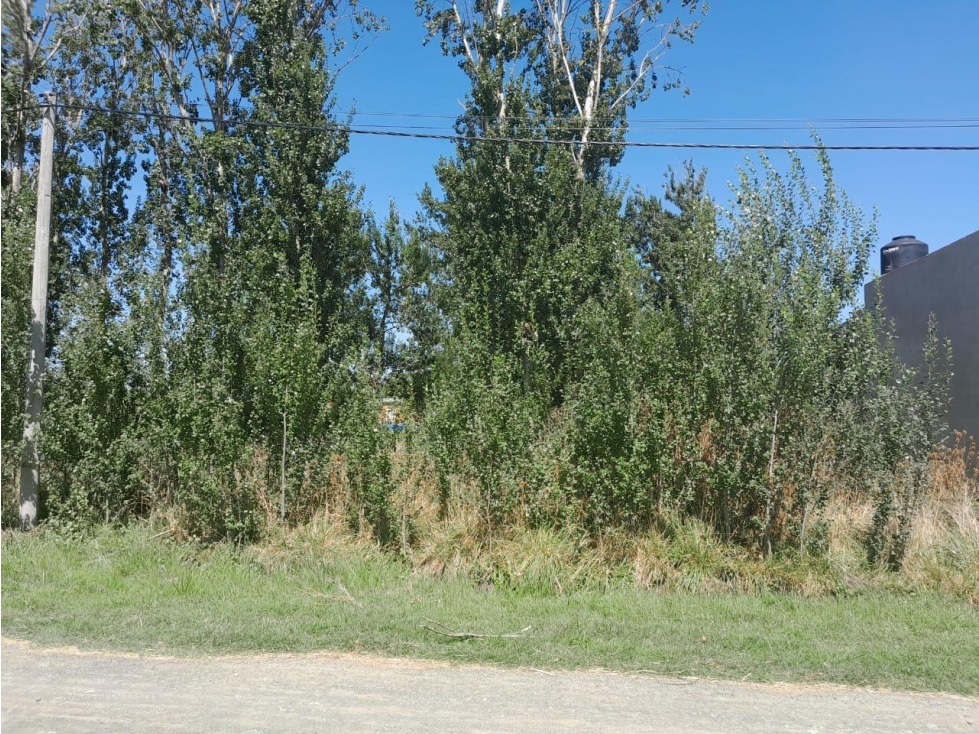 Terreno en Gardey - 4