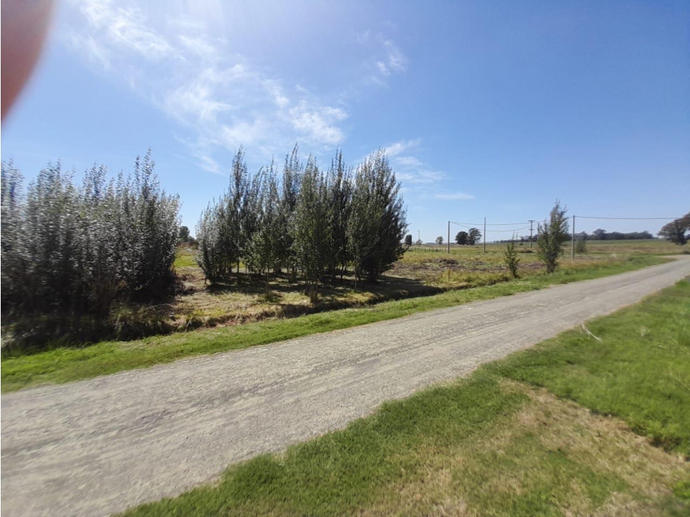 Terreno en Gardey - 1