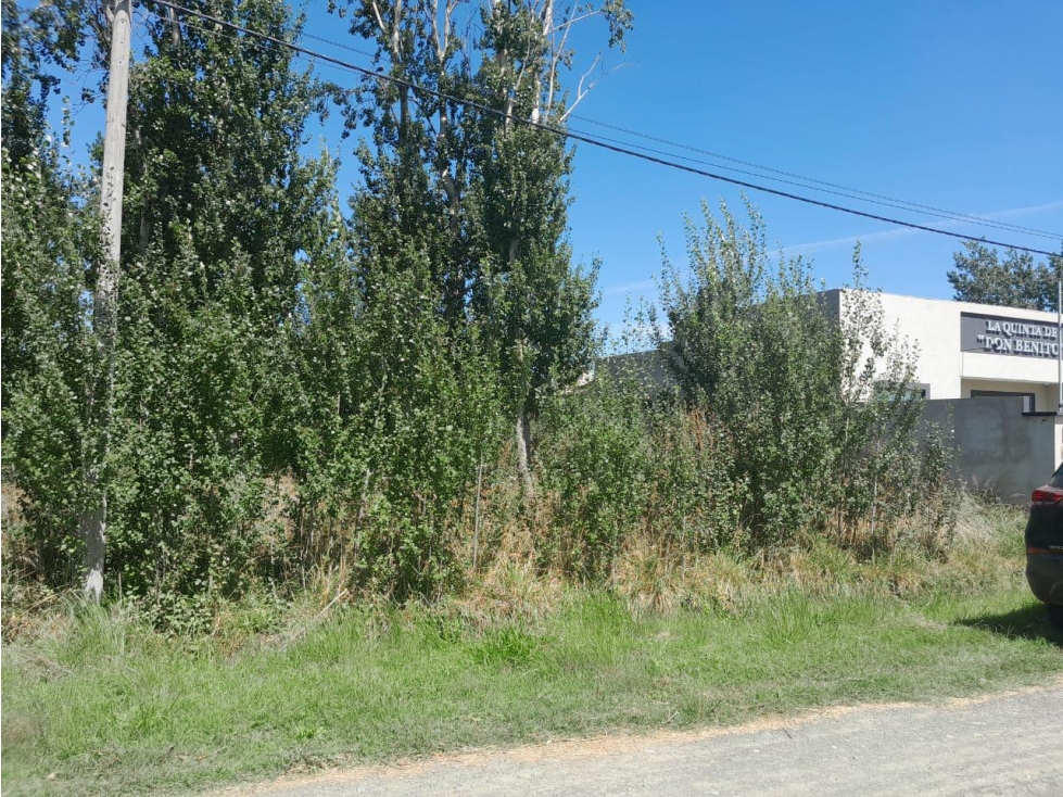 Terreno en Gardey - 5
