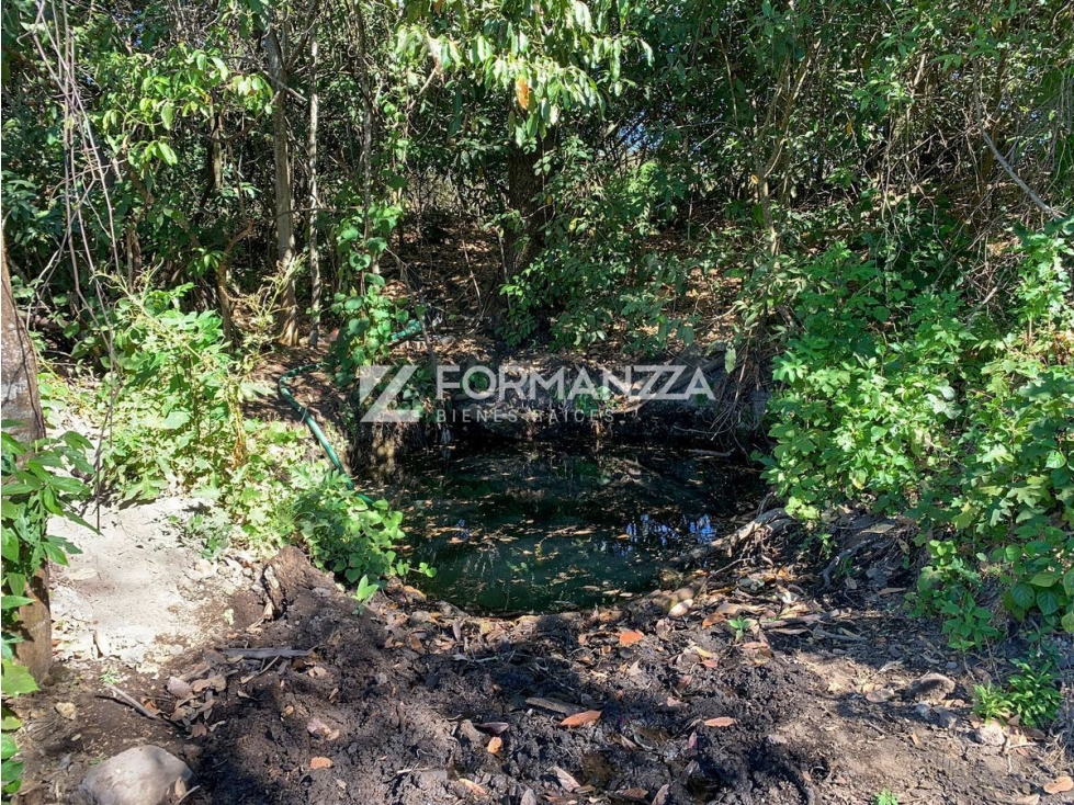 Lotes Campestres en el Cerero en Comala - 4