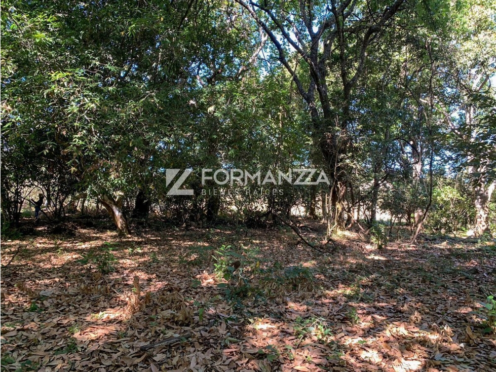Lotes Campestres en el Cerero en Comala - 6