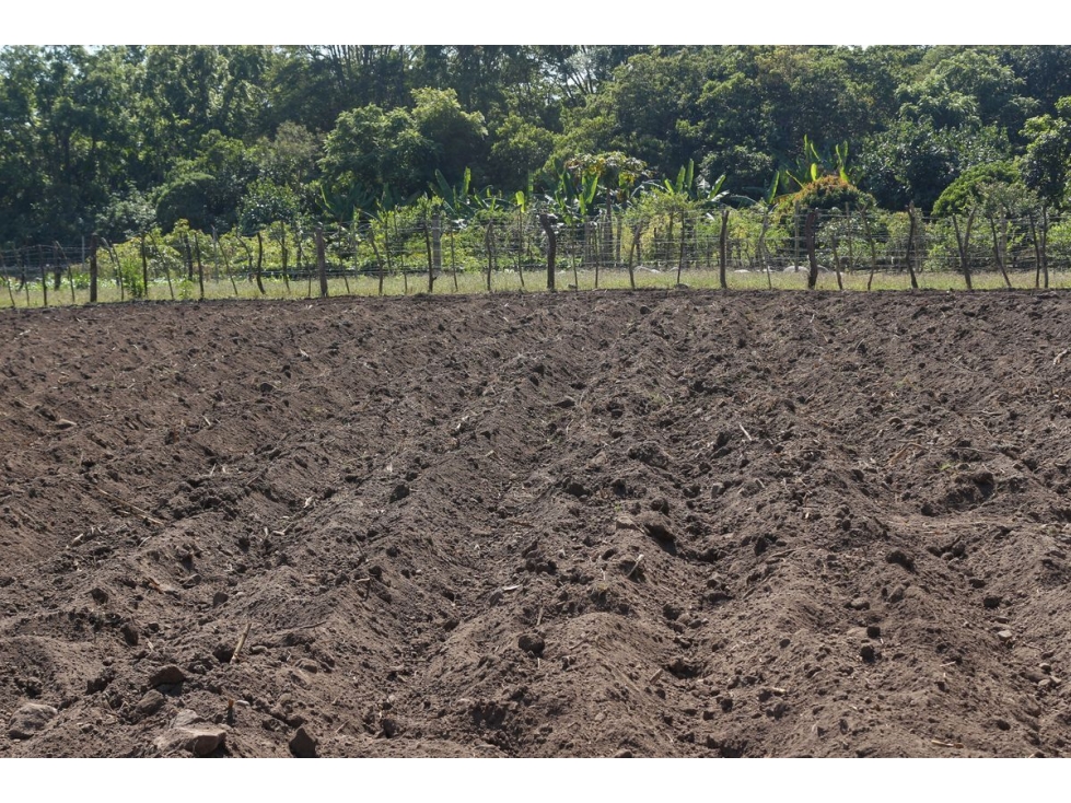 Productivo Rancho en Venta en Cofradía de Suchitlán - 5