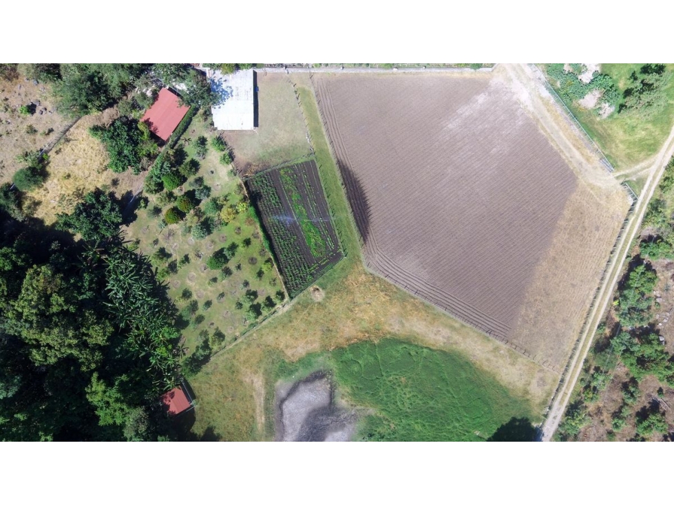 Productivo Rancho en Venta en Cofradía de Suchitlán - 3