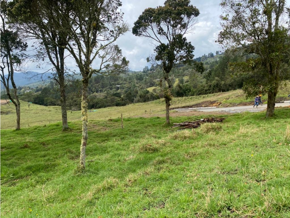 Vendo lote 2945 mts Parcelacion Refugio de Casa Vieja