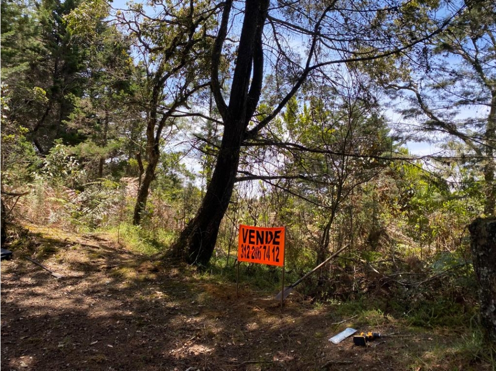 Vendo Lote 25000 metros Alto de la Virgen Guarne