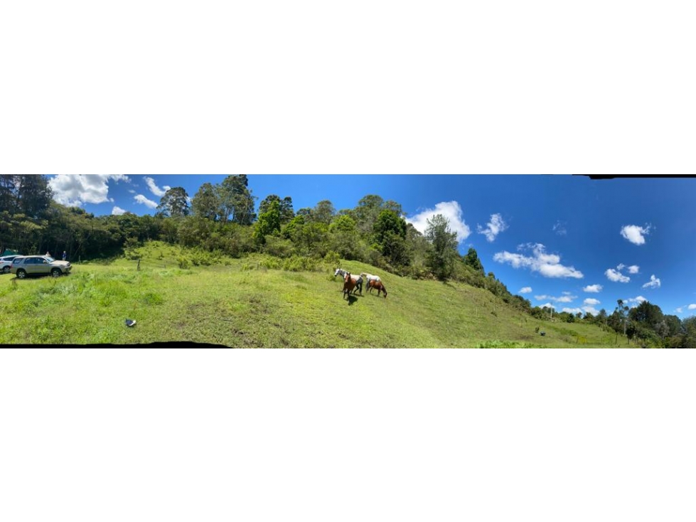 Vendo Lote 10000 mts en la Ceja, Terrazas del Capiro San Nicolas — foto 2