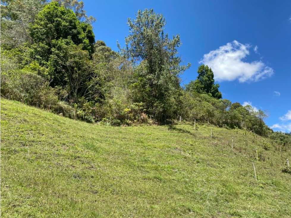 Vendo Lote 10000 mts en la Ceja, Terrazas del Capiro San Nicolas — foto 4