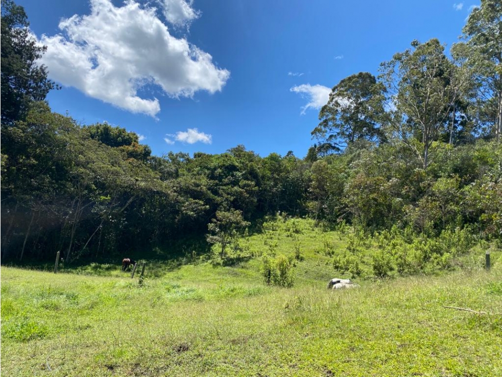 Vendo Lote 10000 mts en la Ceja, Terrazas del Capiro San Nicolas — foto 6