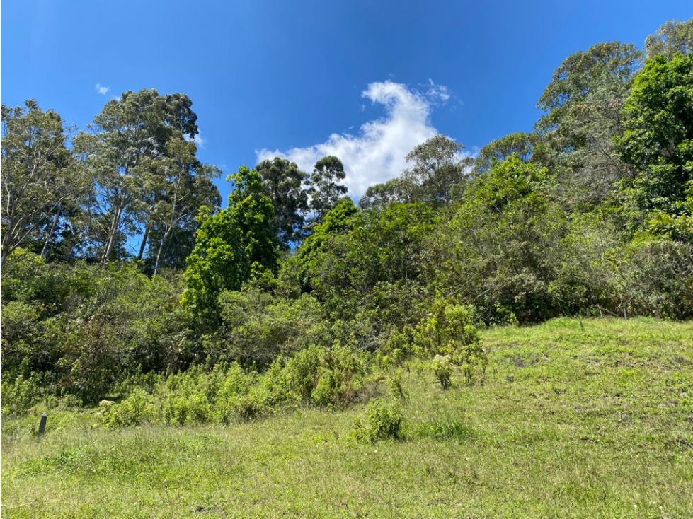 Vendo Lote 10000 mts en la Ceja, Terrazas del Capiro San Nicolas — foto 5