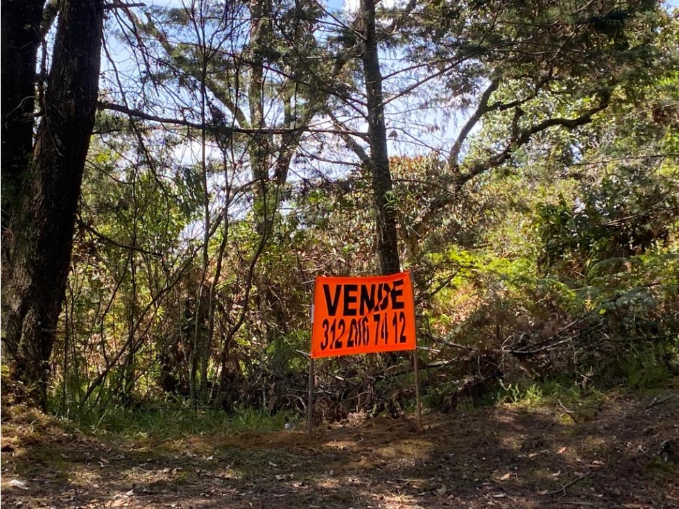 Vendo Lote 25000 metros Alto de la Virgen Guarne — foto 2