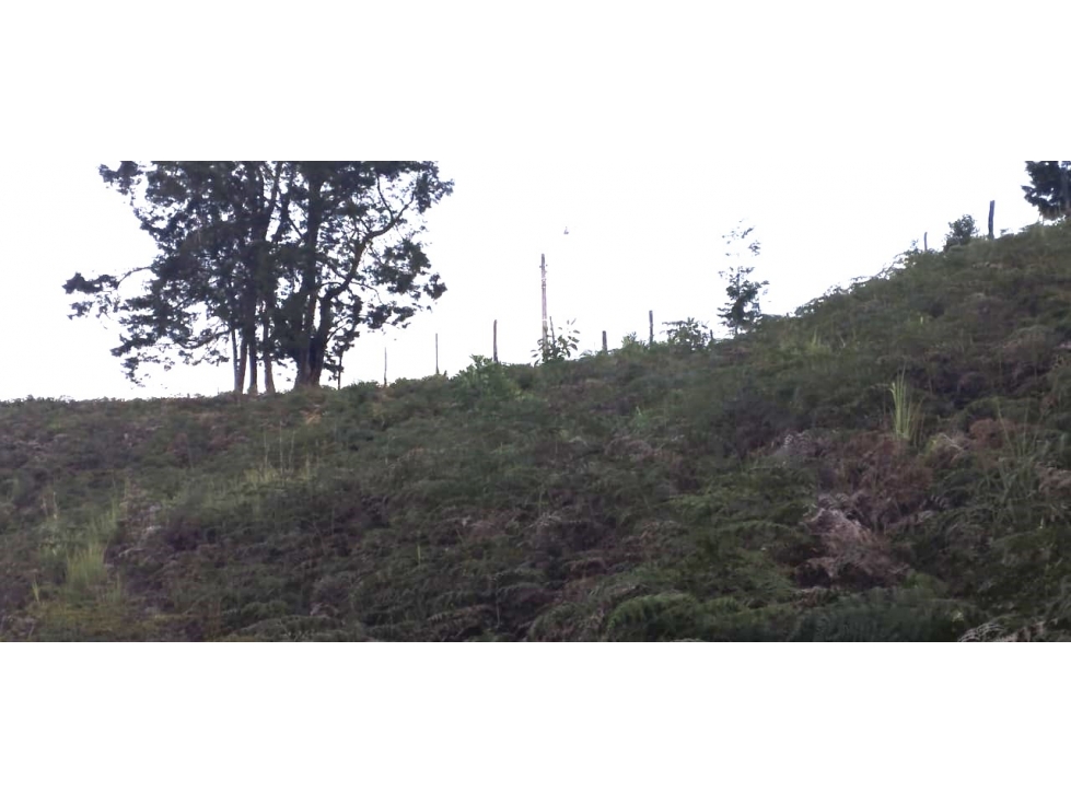 Lote ecoturistico 48,800 m² cerca Arví Tu Espacio en la Naturaleza — foto 4
