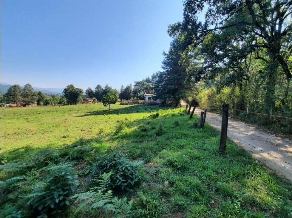 TERRENO EN VENTA, LAS JOYAS.