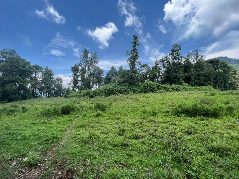TERRENO EN VENTA, EL TEMPORAL.