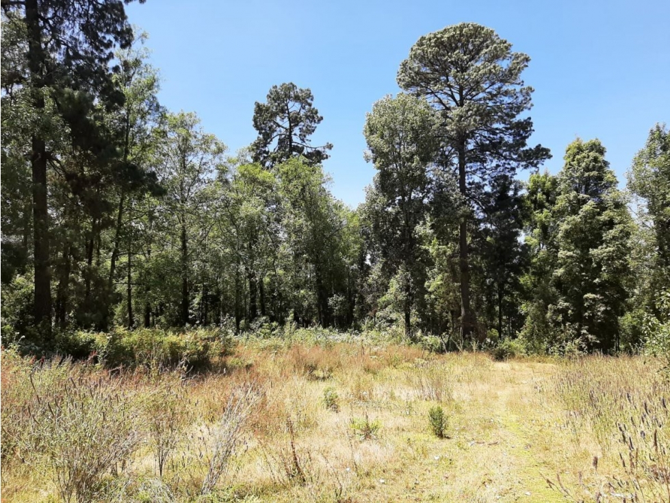TERRENO EN VENTA, EL TEMPORAL.
