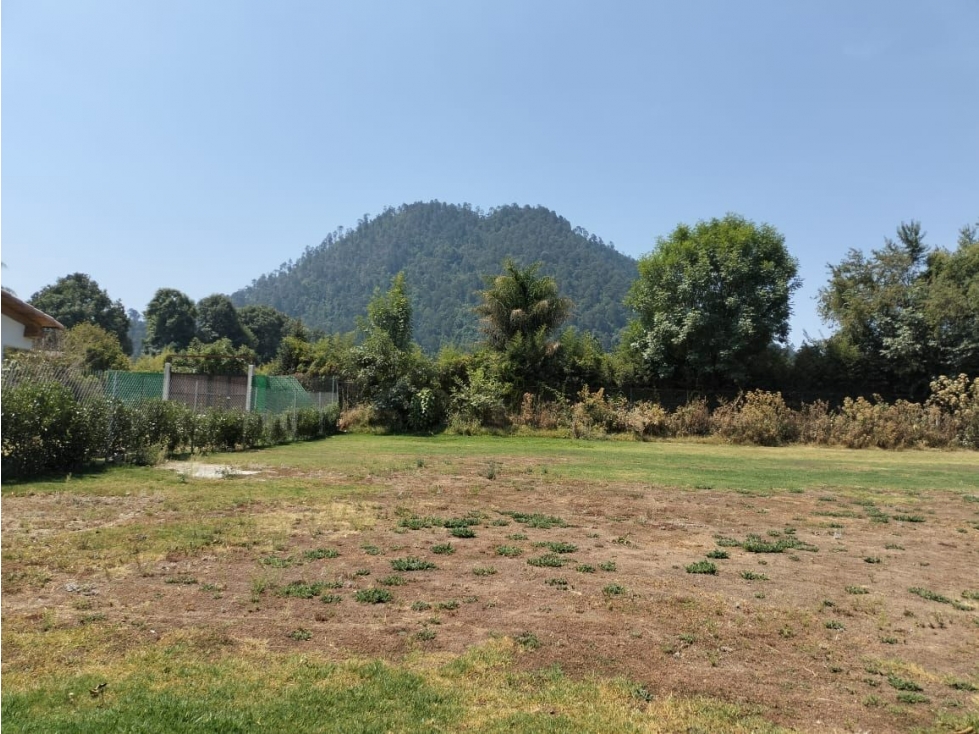 TERRENO EN VENTA, CERRO GORDO. - 2