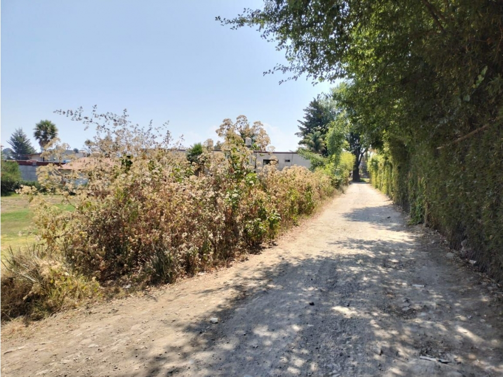 TERRENO EN VENTA, CERRO GORDO. - 5