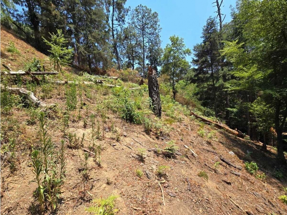 TERRENO EN VENTA, VALLE DE BRAVO. - 3