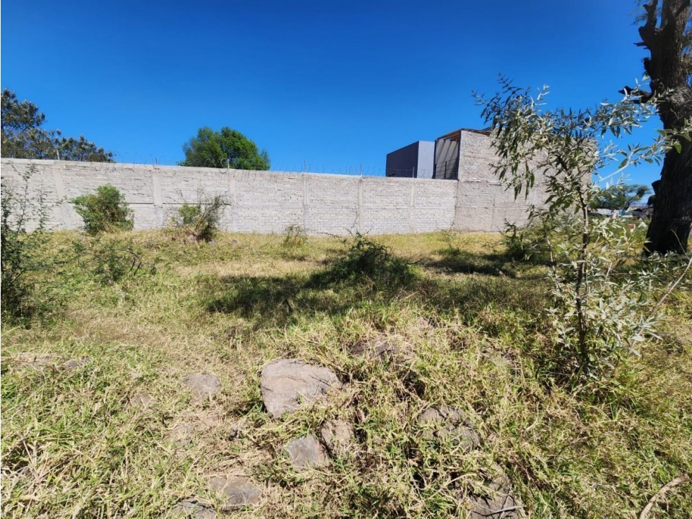 TERRENO EN VENTA EN SAN MIGUEL CUYUTLAN - 3