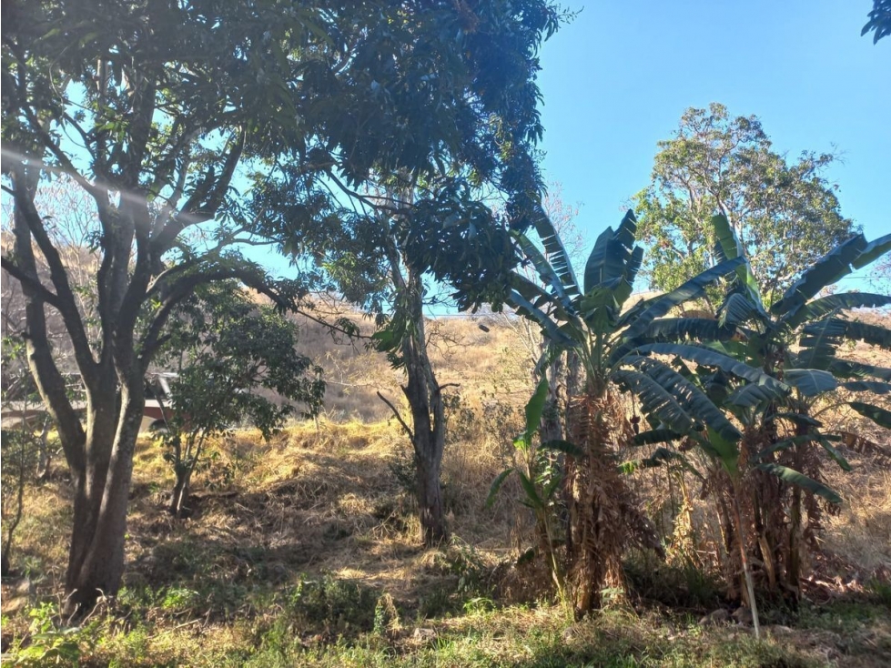 TERRENO EN VENTA EN FRANCISCO DE IXCATÁN - 3