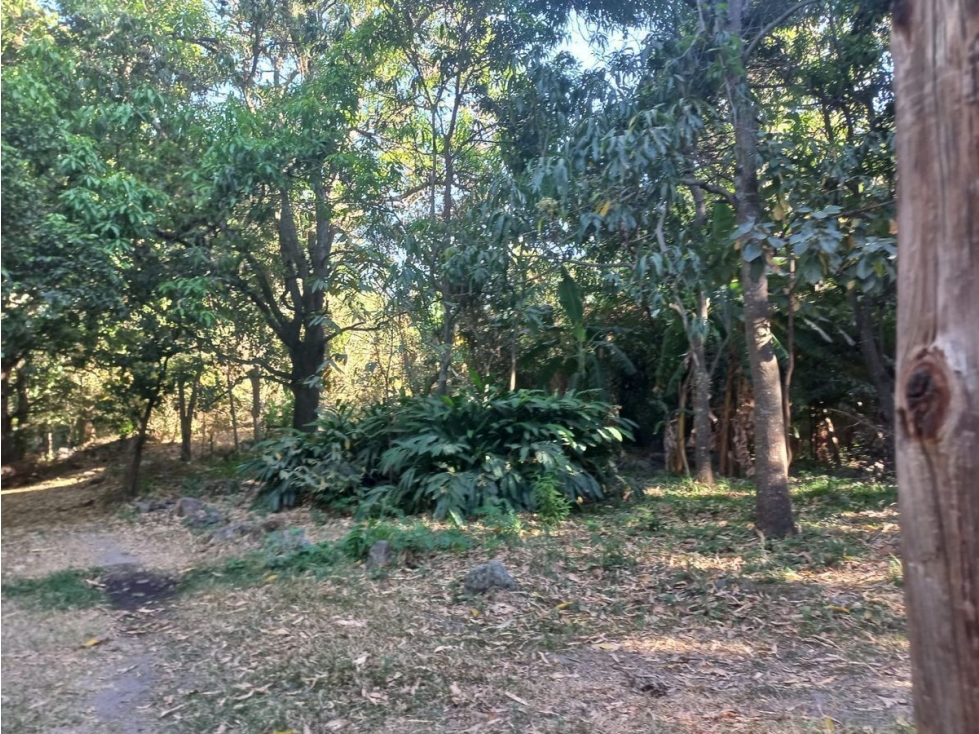 TERRENO EN VENTA EN FRANCISCO DE IXCATÁN - 4