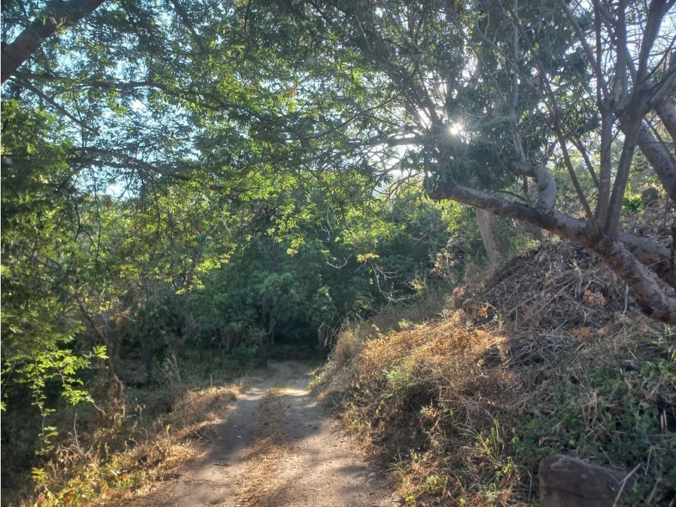 TERRENO EN VENTA EN FRANCISCO DE IXCATÁN - 6