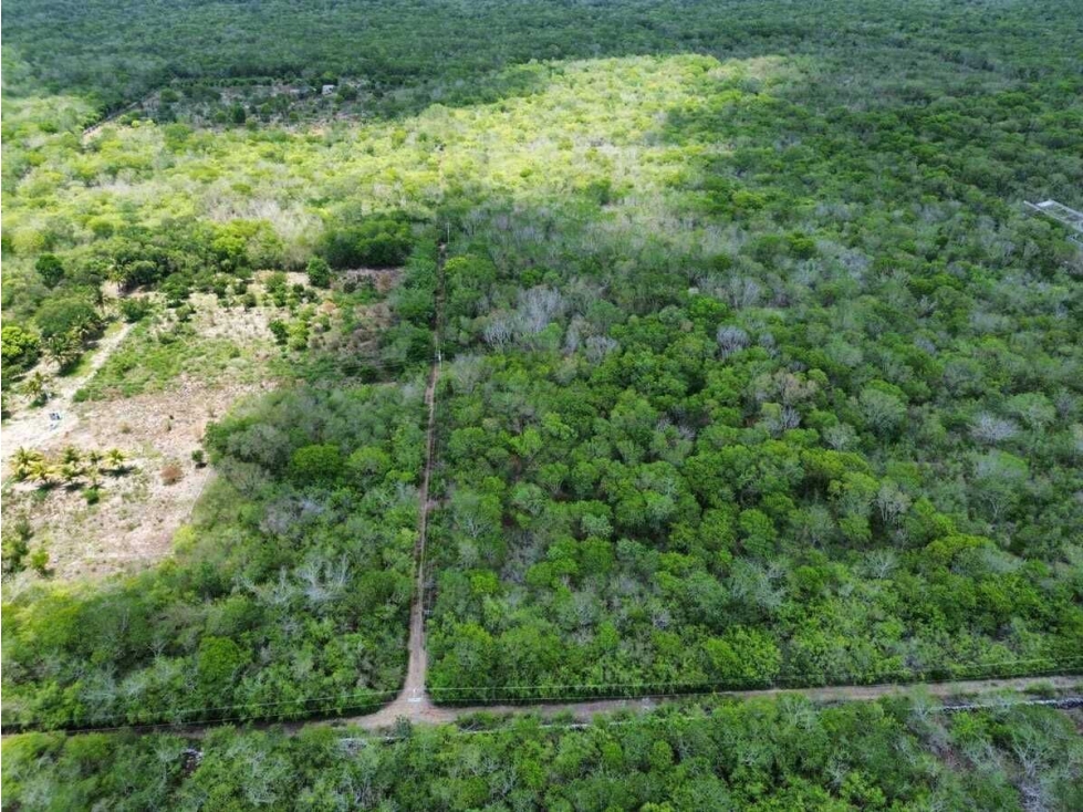 TERRENO EN VENTA EN ZONA INDUSTRIAL HUNUCMA, YUCATAN - 2
