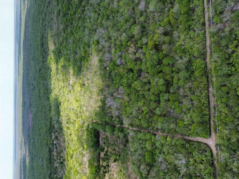 TERRENO EN VENTA EN ZONA INDUSTRIAL HUNUCMA, YUCATAN - 3