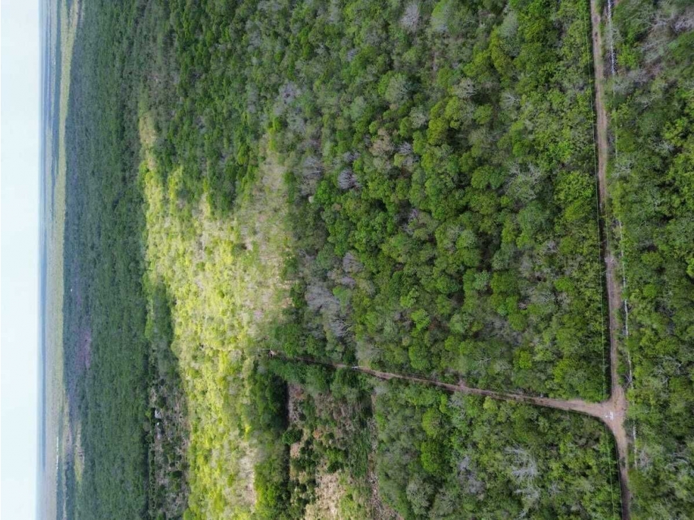 TERRENO EN VENTA EN ZONA INDUSTRIAL HUNUCMA, YUCATAN - 6