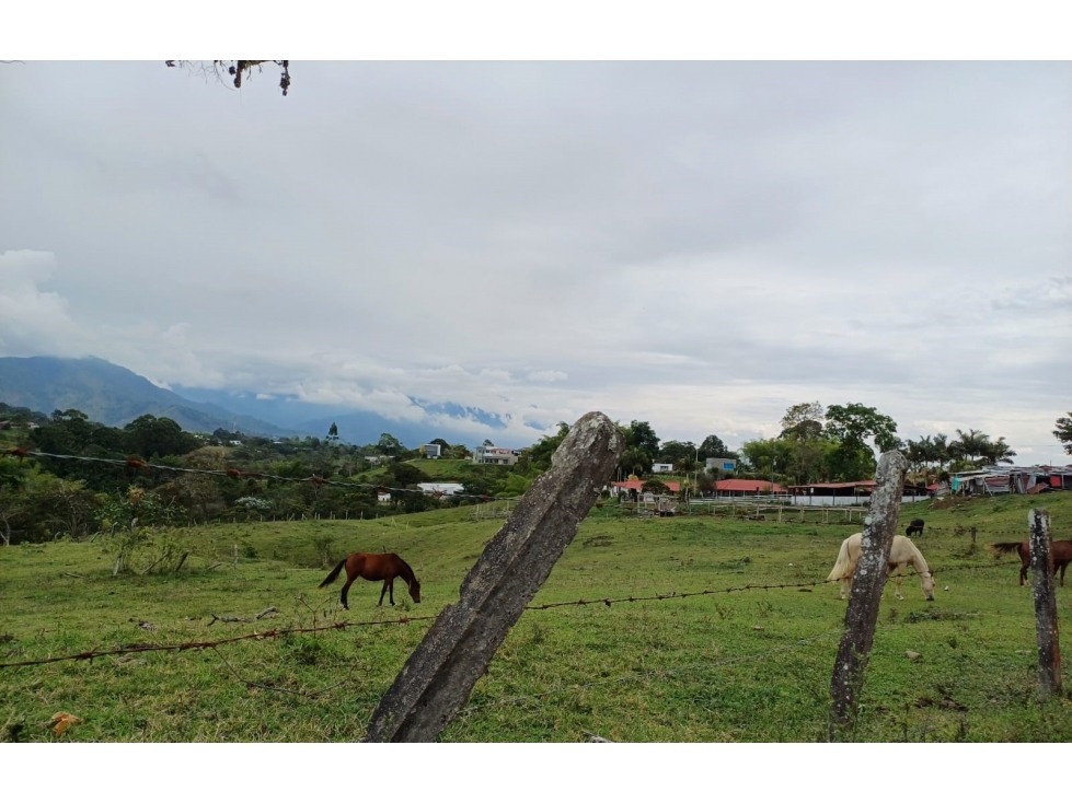 LOTE AL NORTE DE ARMENIA EN CIRCASIA Q - 6