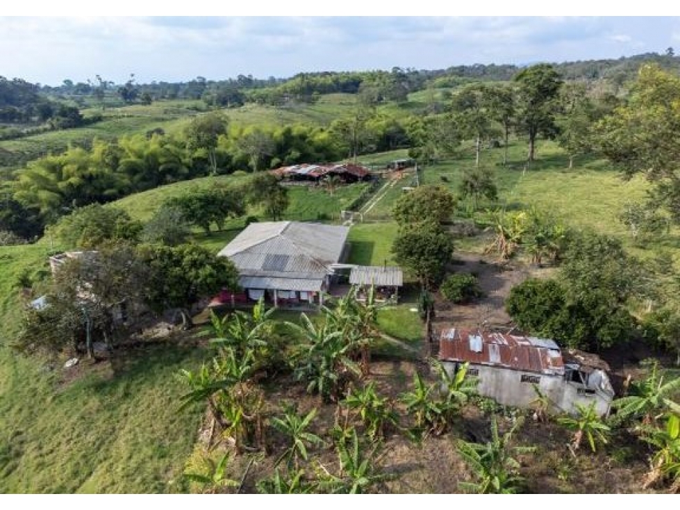 FINCA EN CIRCASIA QUINDÍO