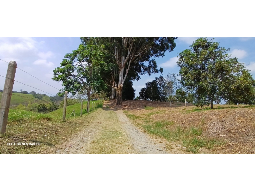 LOTE EN HOJAS ANCHAS - ARMENIA QUINDÍO