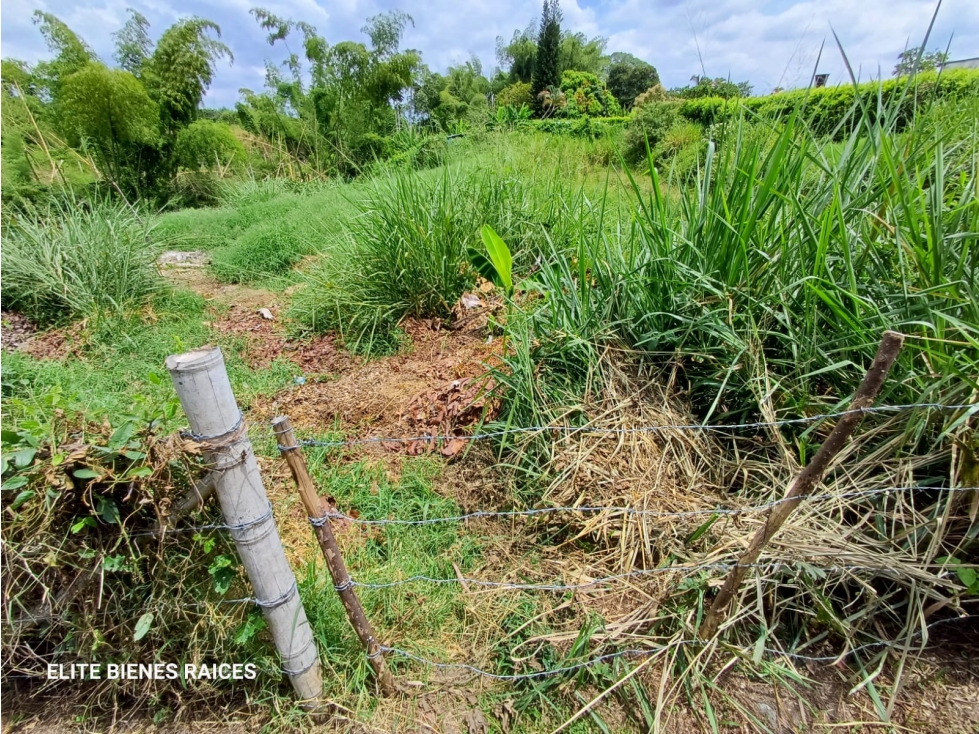 LOTE / TERRENO EN PUEBLO TAPAO - 1