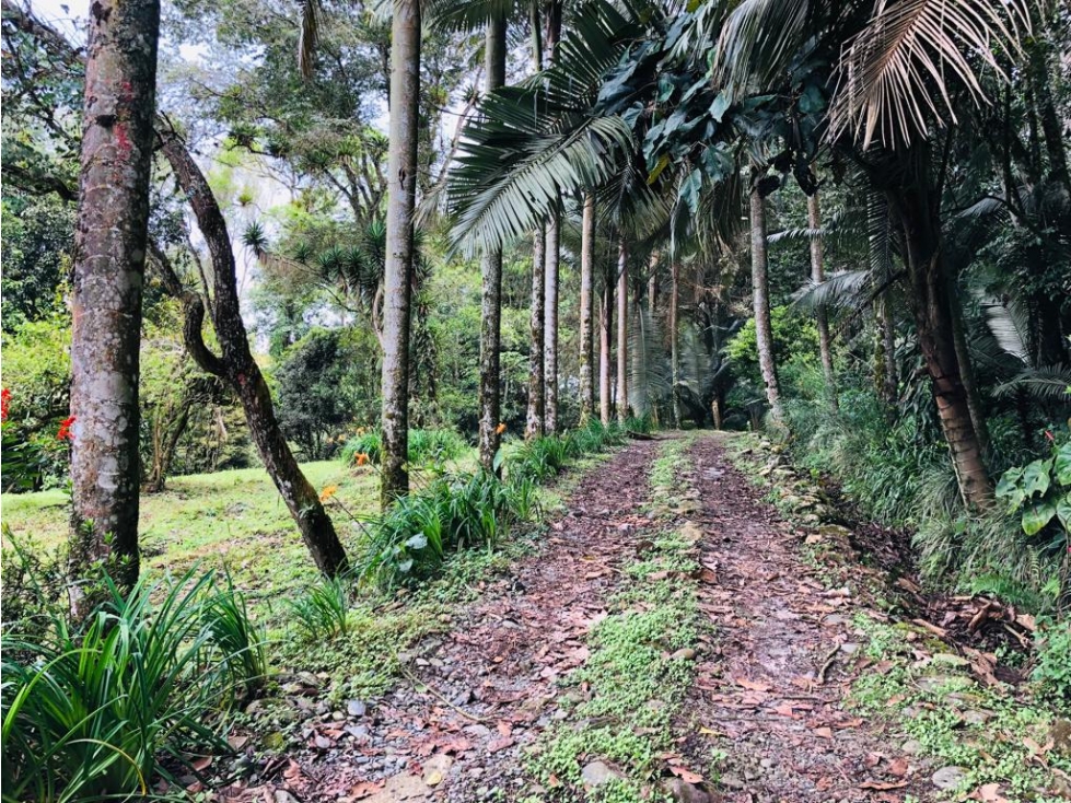 CASA CAMPESTRE EN CONJUNTO NORTE DE ARMENIA VÍA A FILANDIA — foto 4